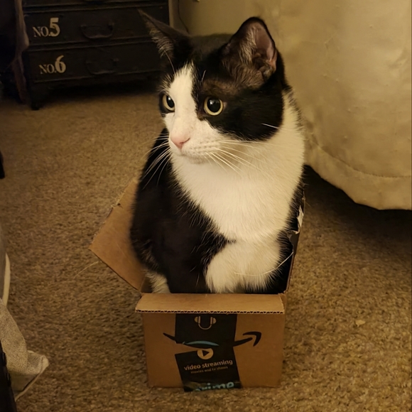 â ď¸ ALLERGY ALERT! â ď¸ - Picture 8 of 8